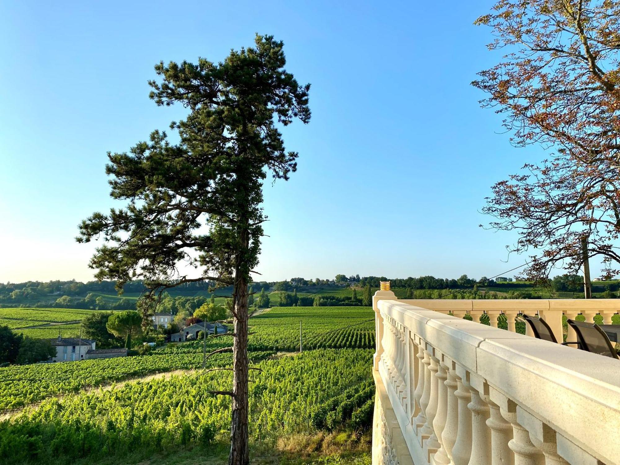 La Reserve Du Chateau De Roques Puisseguin Esterno foto